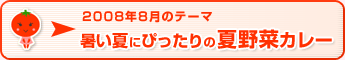 2008年8月のテーマ 暑い夏にぴったりの夏野菜カレー