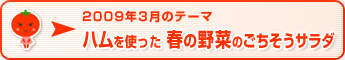 2009年3月のテーマ ハムを使った 春の野菜のごちそうサラダ