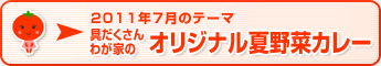 2011年7月のテーマ 具だくさんわが家のオリジナル夏野菜カレー