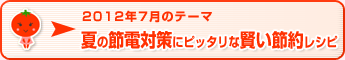 2012年7月のテーマ 夏の節電対策にピッタリな賢い節約レシピ