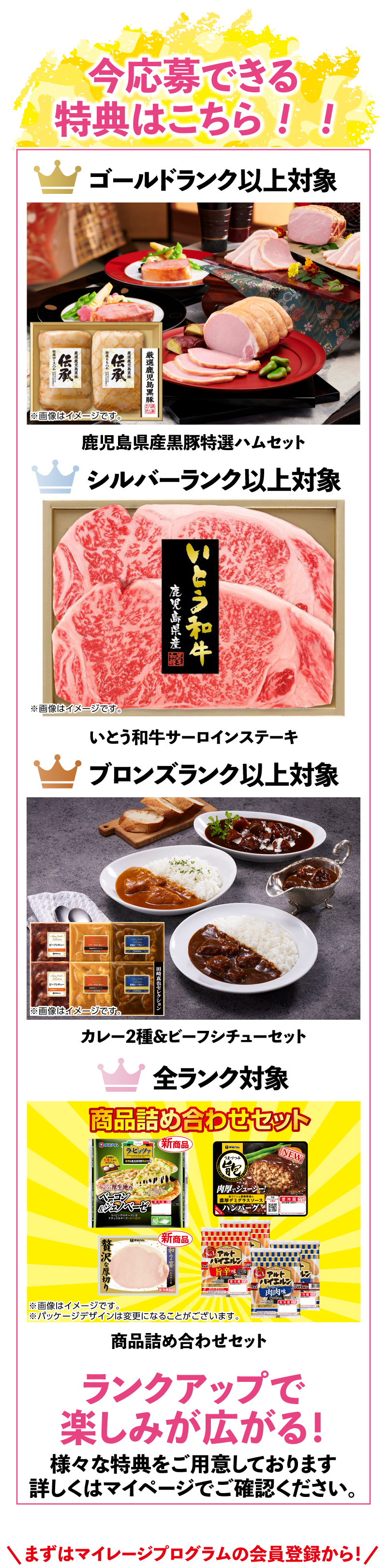今応募できる特典はこちら！