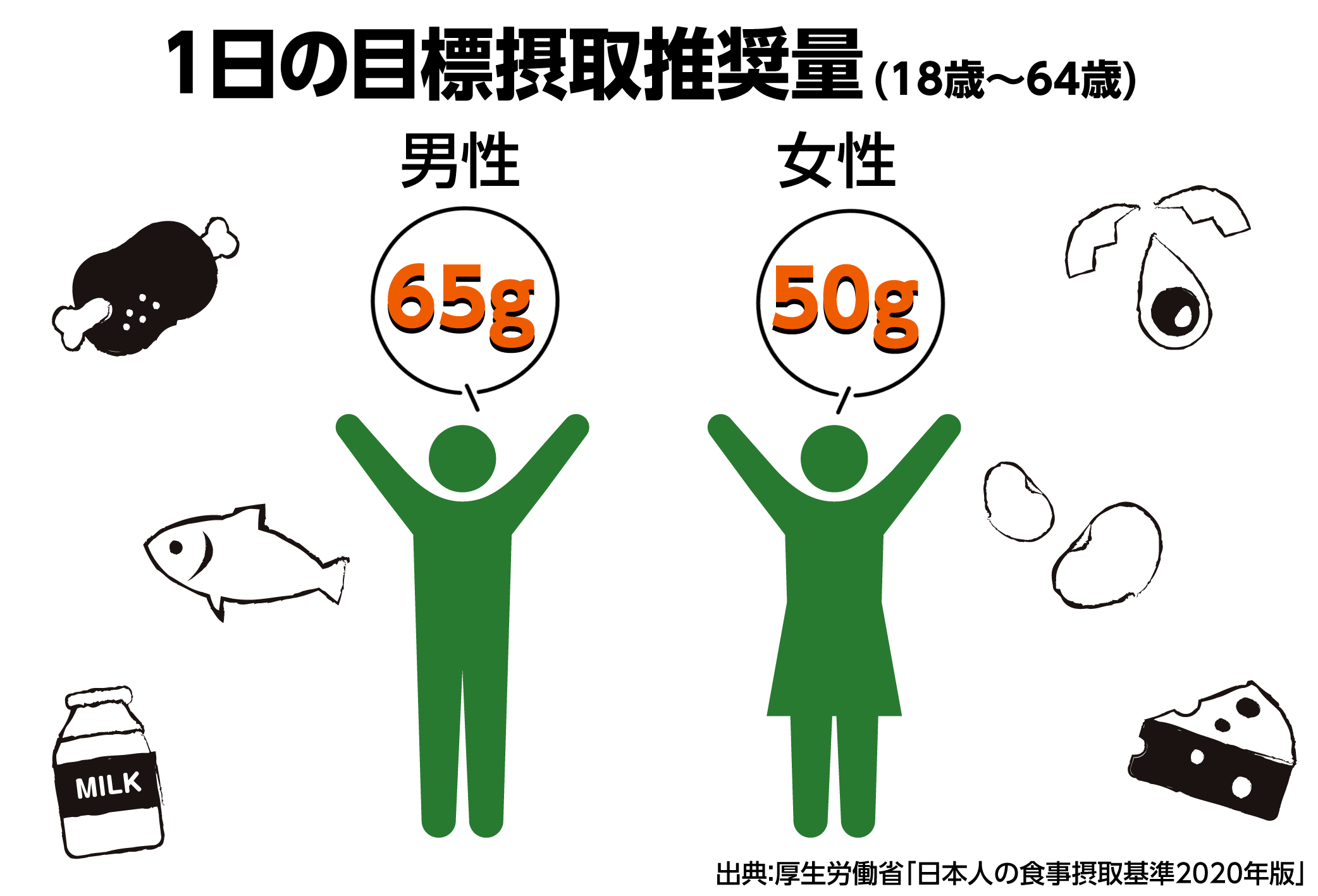 １日の目標摂取量（１８歳〜６４歳）男性６５ｇ、女性５０ｇ 出典　厚生労働省「日本人の食事摂取基準２０２０年版」